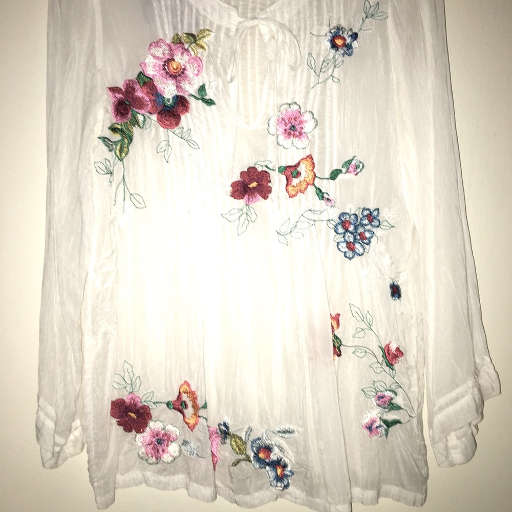 Johnny Was semi sheer pullover top.
